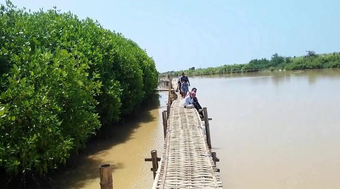 Foto Kawasan Konservasi Mangrove Baros